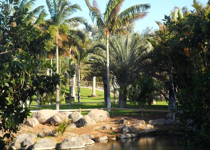 Ng La Salle - * Santa Cruz de Tenerife